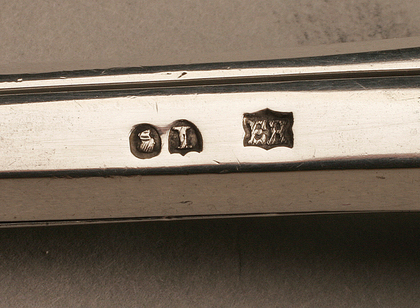 Fox and Vine Silver Grape Scissors