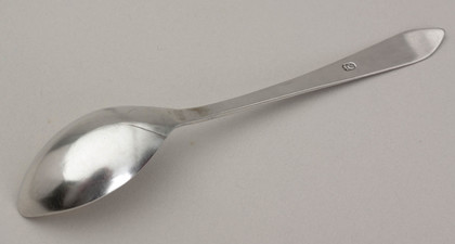 Cape Silver Lemoen Lepel - Johannes Combrink